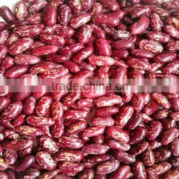 JSX large red speckled beans wholesale Gold supplier sugar beans