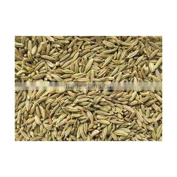 Best Quality Fennel seeds at Best price