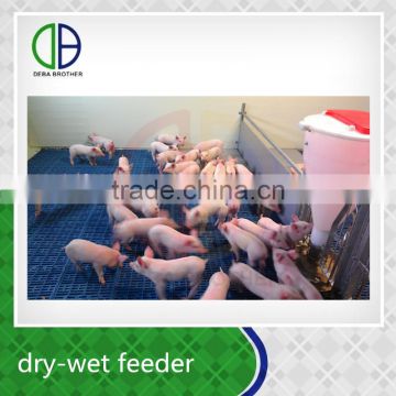 Pig breeding equipment dry-wet feeder popular design