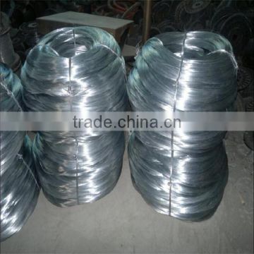 BWG12 electro galvanized wire Promotion now