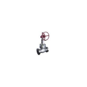 Stainless steel globe valve Duplex stainless Steel