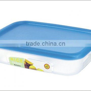NR-10 Plastic food container