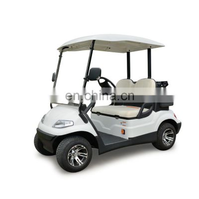 2 Seats Mini Electric Golf Cart with 48V Battery
