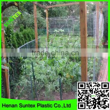 pure HDPE climbing plant supporting net