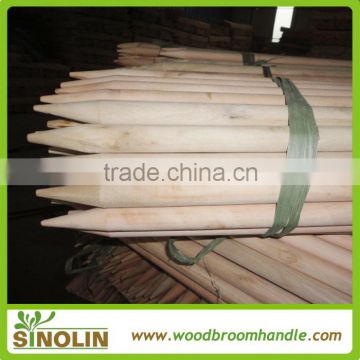 eucalyptus wooden plant support stick