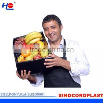 eco-friendly and stronger PP vegetable plastic box