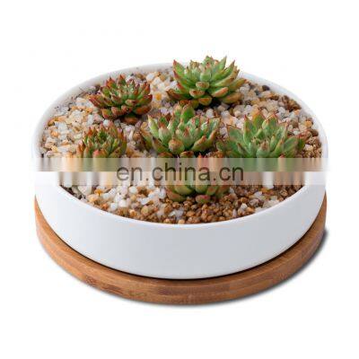 Cheap Round White Ceramic Vase Plant Pot Planters Indoor Cactus Small Planter Flower Pots & Planters Succulent  Pots