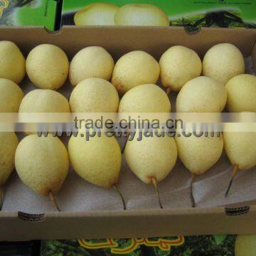 China wholesale fresh Ya pear