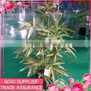 Tianjin factory hot sale decoration artificial plant indoor artificial bamboo plants wholesale