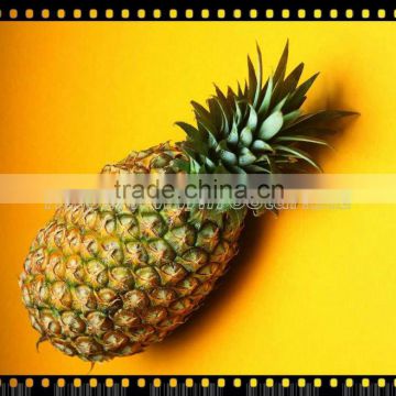 IQF Pineapples