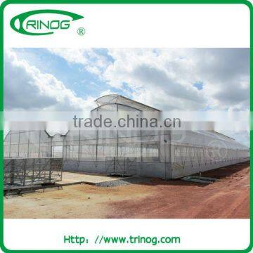 greenhouse fogging system