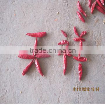2012 new crop chaotian chili