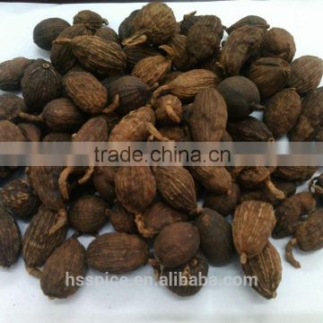 China with stem black Cardamom