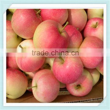 New Crop Chinese Fresh Apple Red Star Apple Apple