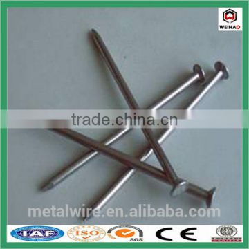 all kinds of size Common Nail supplier in China