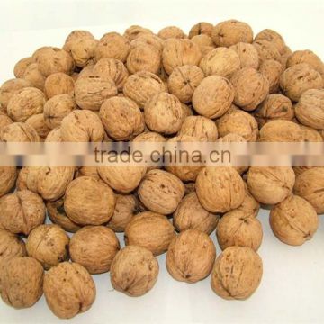 chinese wholesale natural walnut unshelled, walnut in shell sale