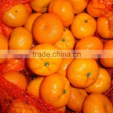 2013 new crop fresh baby mandarin orange from BROTHER KINGDOM