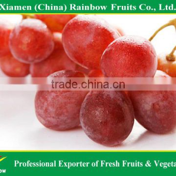 export delicious sweet fresh red globe grape red grape fresh grape