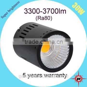 Hot selling 30W surface mounted LED downlight with CE/RoHS/SASO/SAA/GS certificate