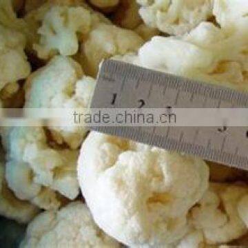 FROZEN CAULIFLOWER STEAM COOKED SIZE 2-4CM,3-5CM PACKED 10KG/CARTON