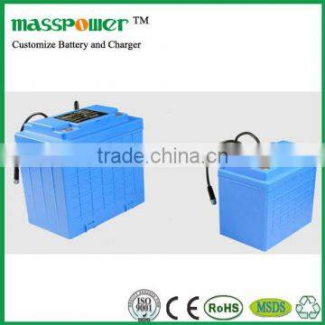 Quality factory li ion battery pack 24v 20ah