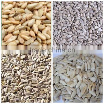 sunflower kernels confectionary grade organic Chinese Seed Kernels Peeled