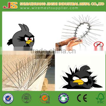 2015 new product 50cm bird spike in plastic different lengths/bird repellent on alibaba made in china