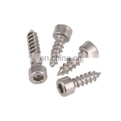 Stainless steel  Allen Hex Socket Cap Head Self Tapping  Screws