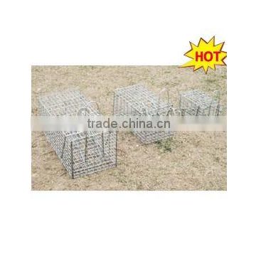 Collapsible wire mesh cage trap