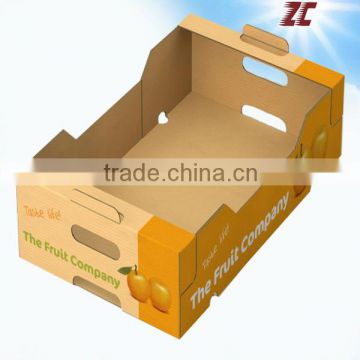 Wholesale Strong Fruit Carton Box for Apple ,Apple Fruit Packaging Box, Carton Box for Fruits