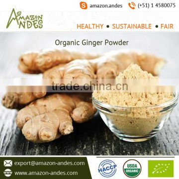 High Nutritious Ginger Powder with Rich Natural Color at Factory Price