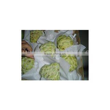 Best Quality Egypt Custard Apple