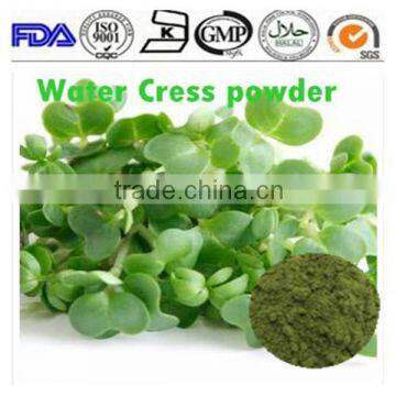 100% natrual High quality WaterCress powder for food and beverage