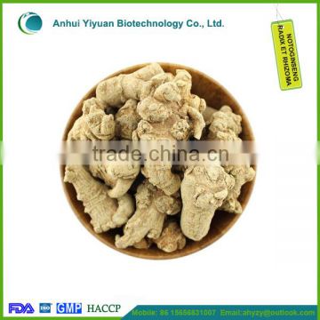 Panax notoginseng Could Be Used as Medicine for Health and Many Other Illness