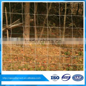 galvanized fixed knotted fence wire mesh