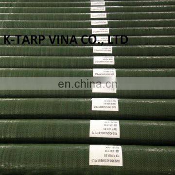 ECONOMY GREEN PE TARPAULIN (ROLL TYPE)