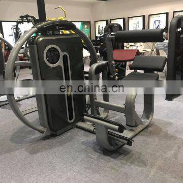 Gym Equipment Commercial Use Exercise Machine LZX-8014 Back Extension