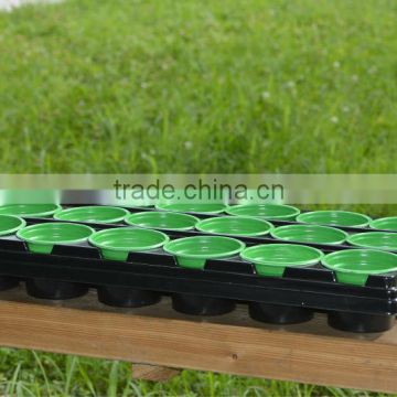 cheap plastic seeder tray