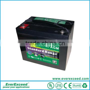 EVEREXCEED Standard Sealed lead acid 12v ups battery