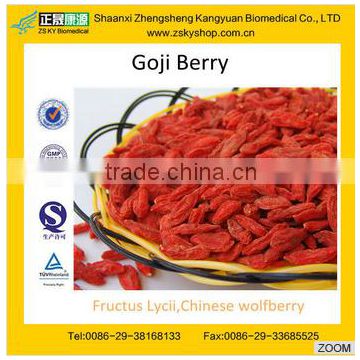 GMP manufacturer supply medlar fruits/wolfberry/Ningxia Goji