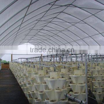 Agricultural greenhouse farm