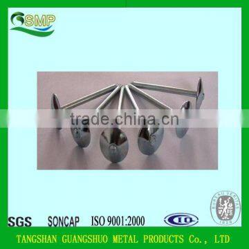 Twisted shank galvanized umbrella head roofing nail ( 2 -1/2" x 9mm ) with plastic washer Boa sorte Trade ssurance sinolink