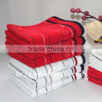 China 100% Pakistan Cotton Terry Towel