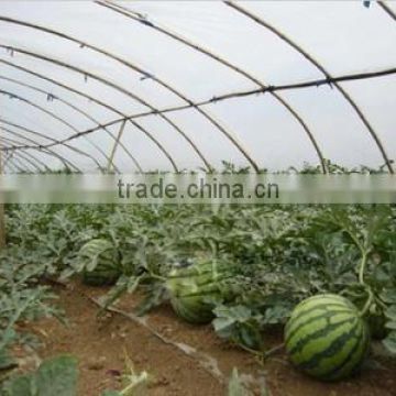 professional Factory manufacture various greenhouse film