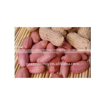 Chinese Peanuts Good Quality