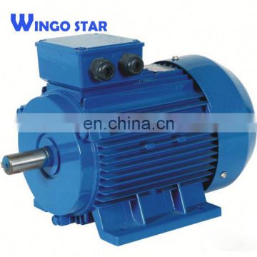 0.55kw y2 Series Three-Phase Asynchronous Induction Electrical Motor