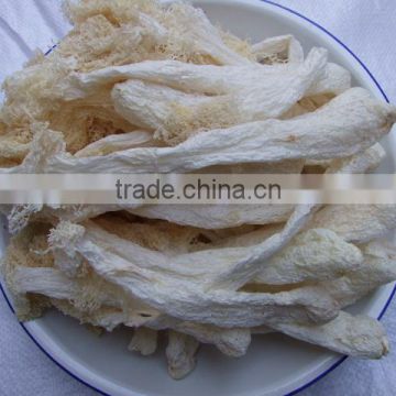Chinese Mushroom Dried Cultivated Dictyophora