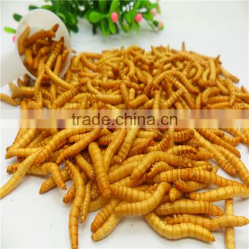 Premium Freeze Dried Mealworms For Bird Food;Natural Mealworms