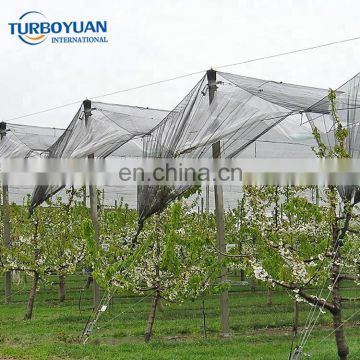 Agricultural plastic anti hail net, hdpe sun shade cloth, black mesh for plants
