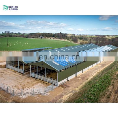 industrial design modern automatic chicken house with door poultry shed farm